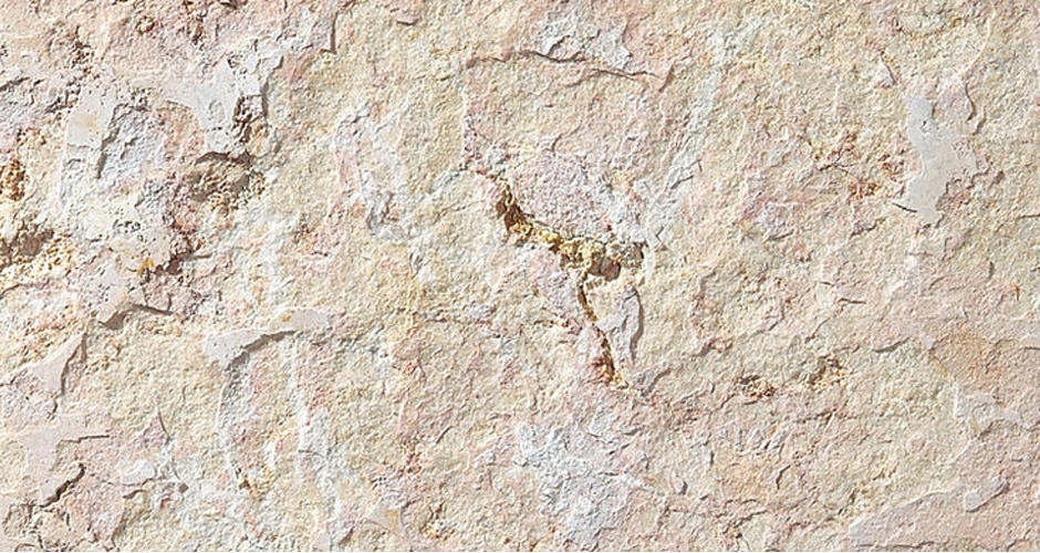 Banner Mrmores Creme